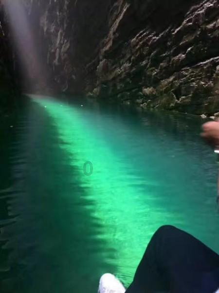 惊喜!湖南莽山再次完整记录到林麝