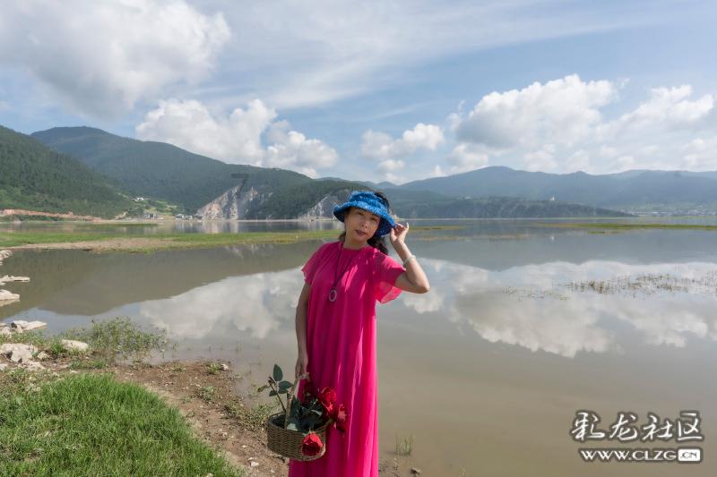 中国茶叶分类游戏画面